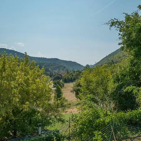Florence Country