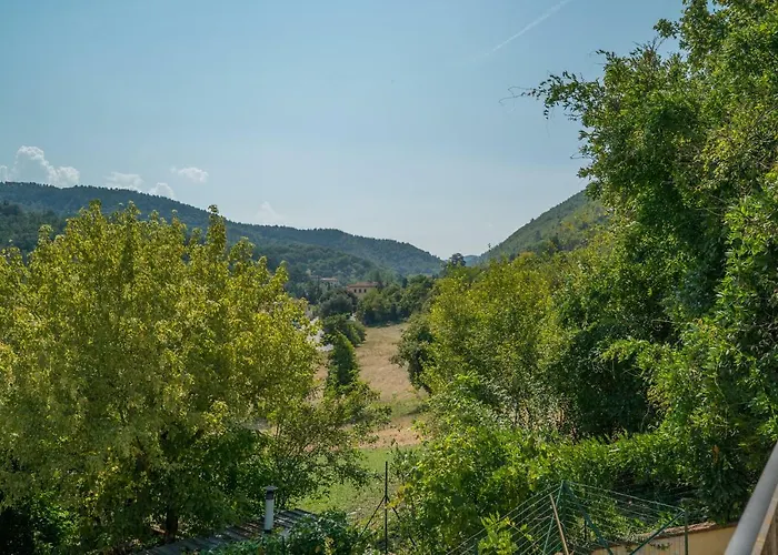 Florence Country